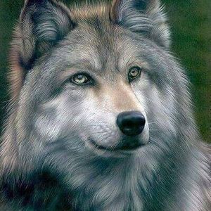 Meet your Posher, Ruth ann